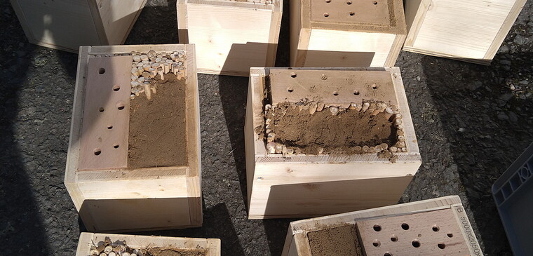 Den Artikel lesen: Insektenhotel